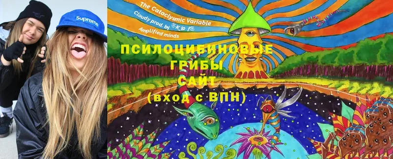 Псилоцибиновые грибы Cubensis  Братск 